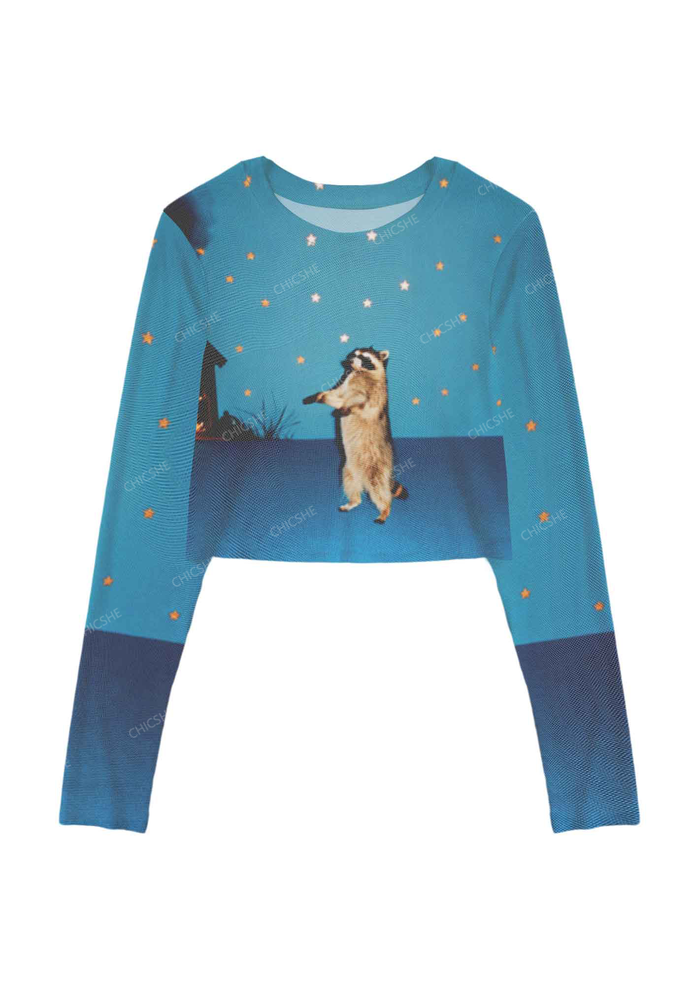 Raccoon Under The Starry Sky Y2K Mesh Long Sleeve Crop Top Chicshe