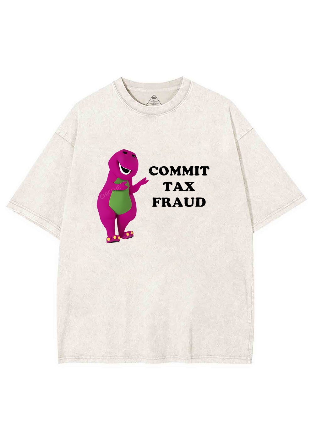 Commit Tax Fraud Y2K Washed Tee Cherrykitten