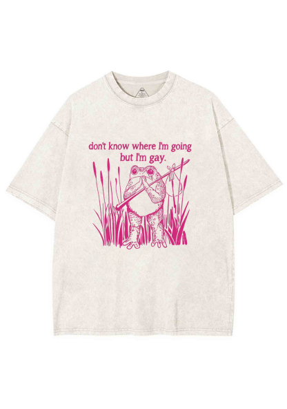 But I Am Gay Frog Pride Y2K Washed Tee Chicshe