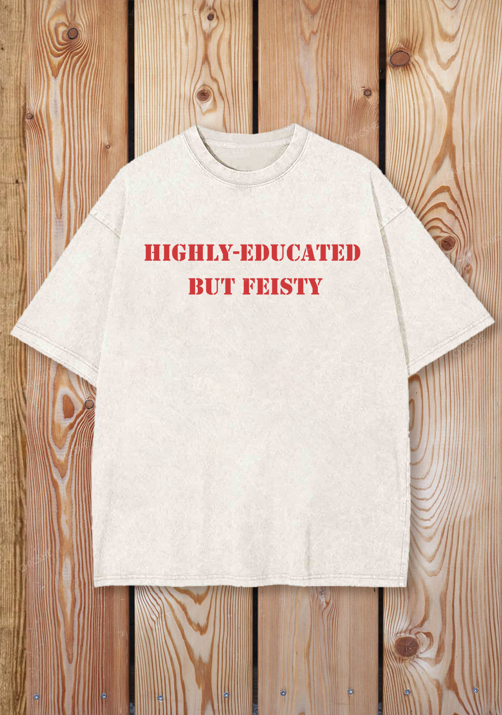 Chicshe Highly Educated But Y2K Shirts Washed Tee