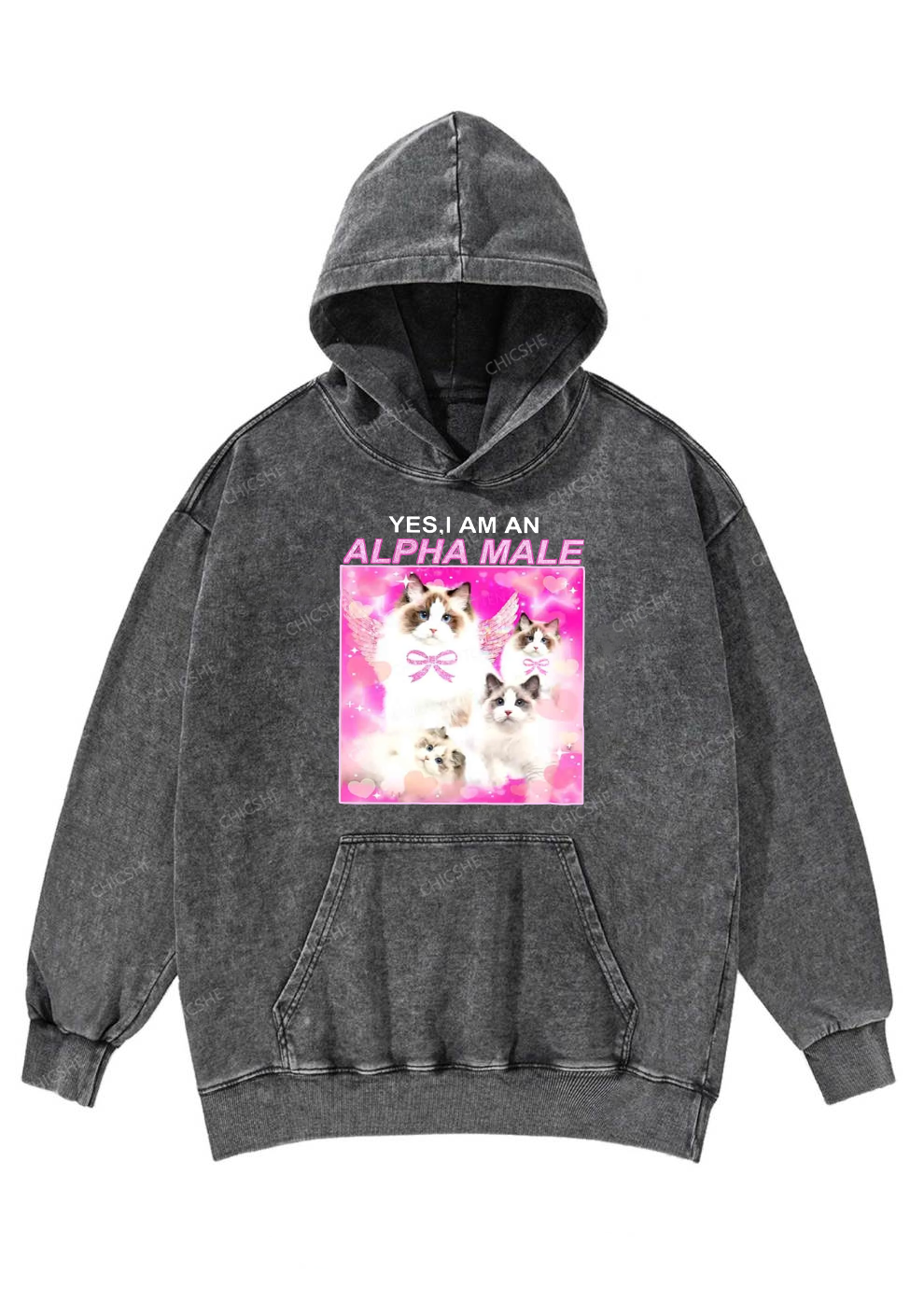 Alpha Male Y2K Washed Hoodie Chicshe