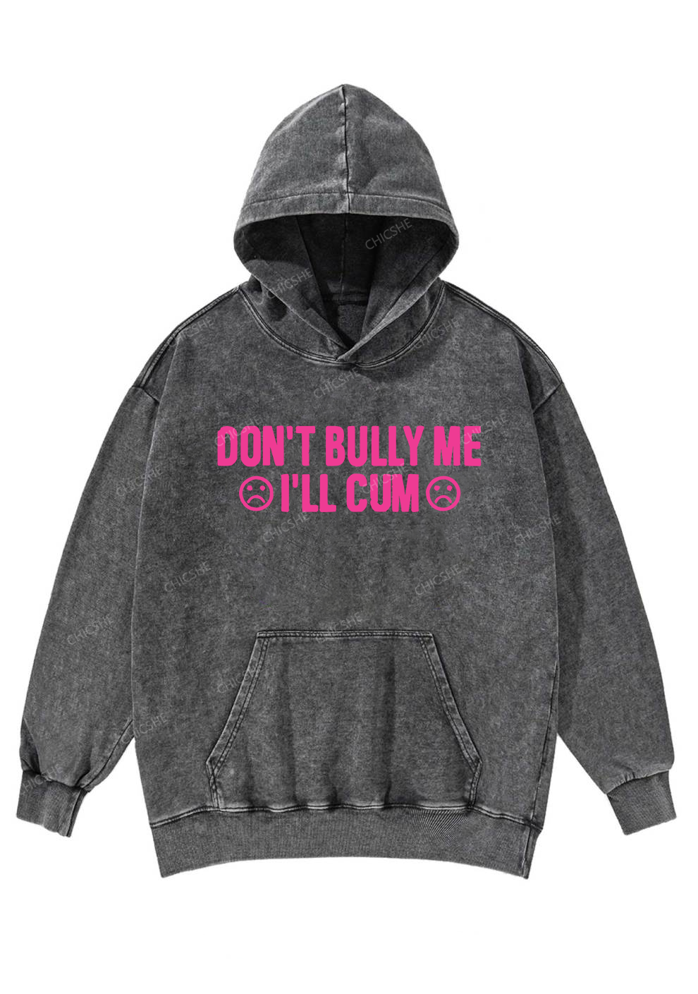 Don't Bully Me Y2K Washed Hoodie Cherrykitten