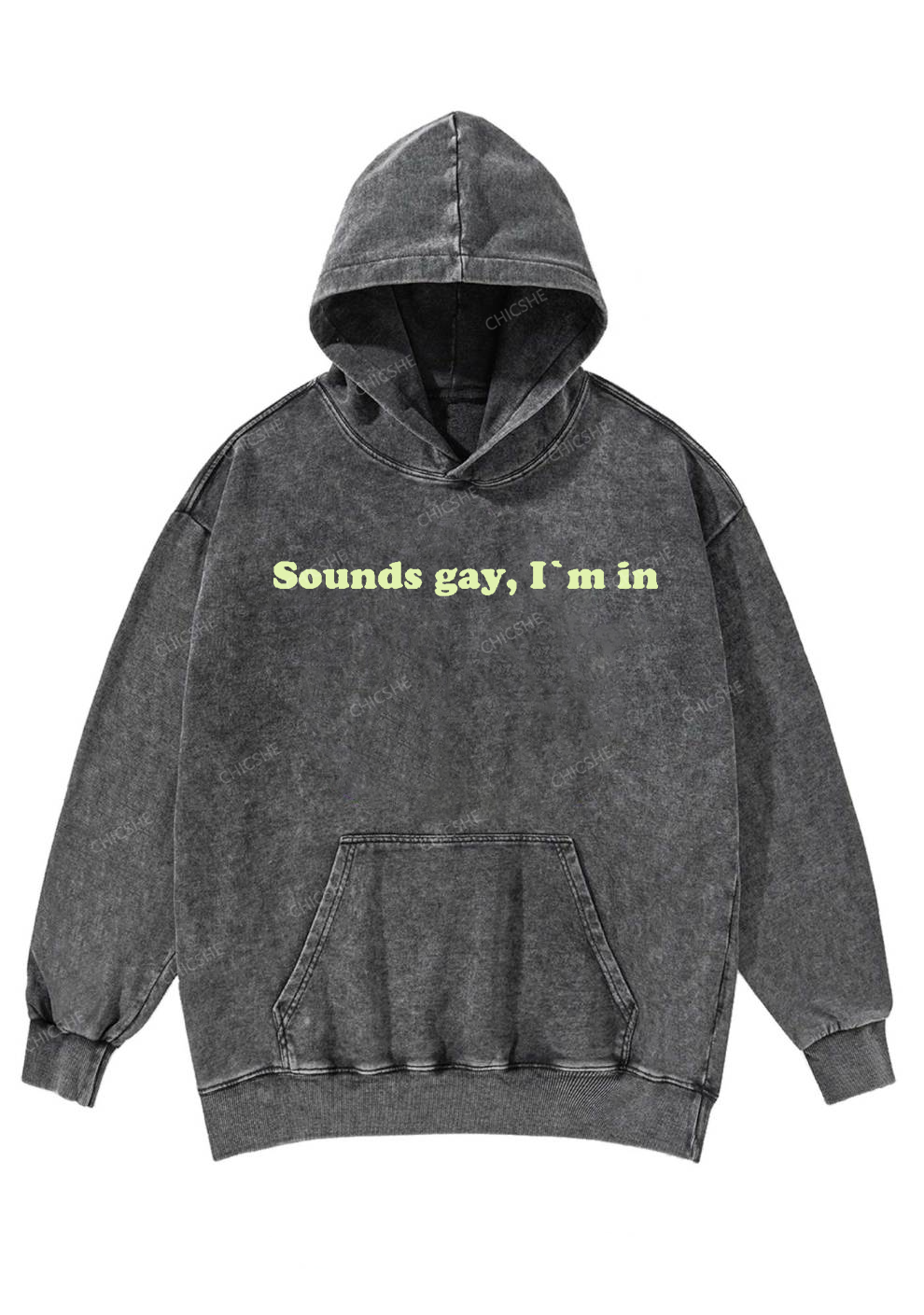 Sounds Gay Y2K Washed Hoodie Chicshe