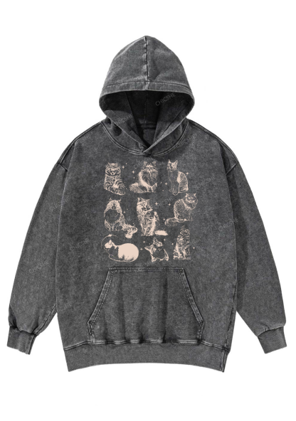Retro Kitten Y2K Washed Hoodie Chicshe