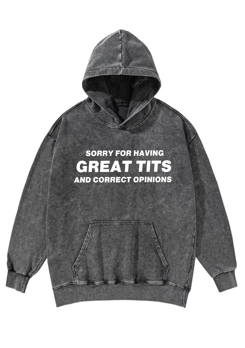 Sorry For Having Correct Opinions Y2K Washed Hoodie Chicshe