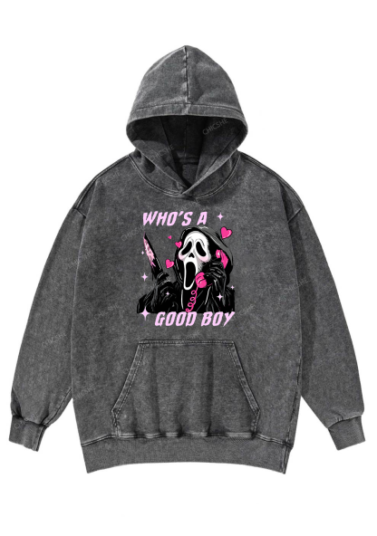 Who Is A Good Boy? Y2K Washed Hoodie Chicshe