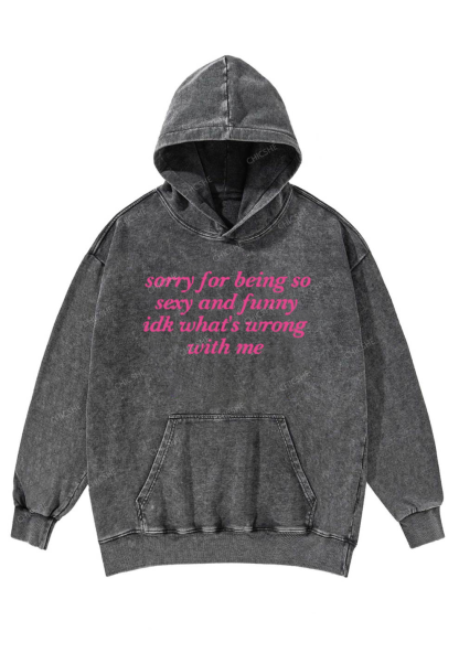 Sorry For Being So Funny Y2K Washed Hoodie Chicshe