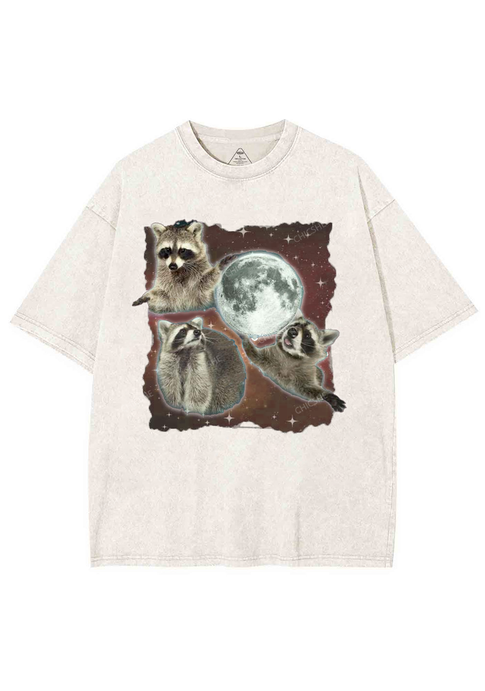 Raccoon Moon Y2K Washed Tee Chicshe