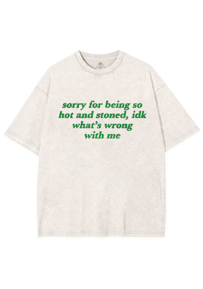 Sorry For Being Hot And Stoned Y2K Washed Tee Chicshe