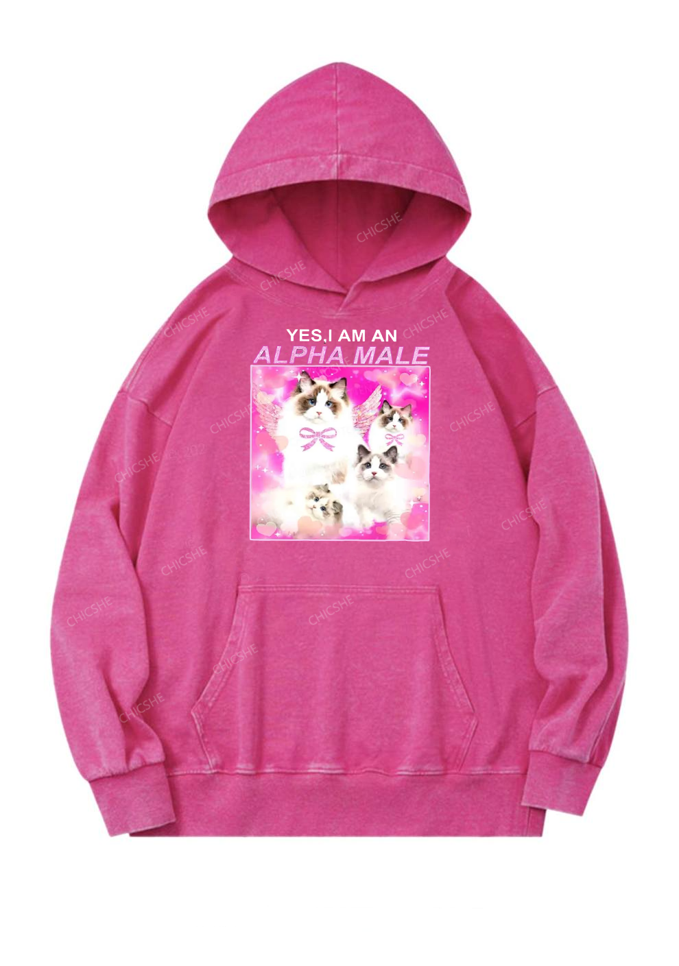 Alpha Male Y2K Washed Hoodie Cherrykitten