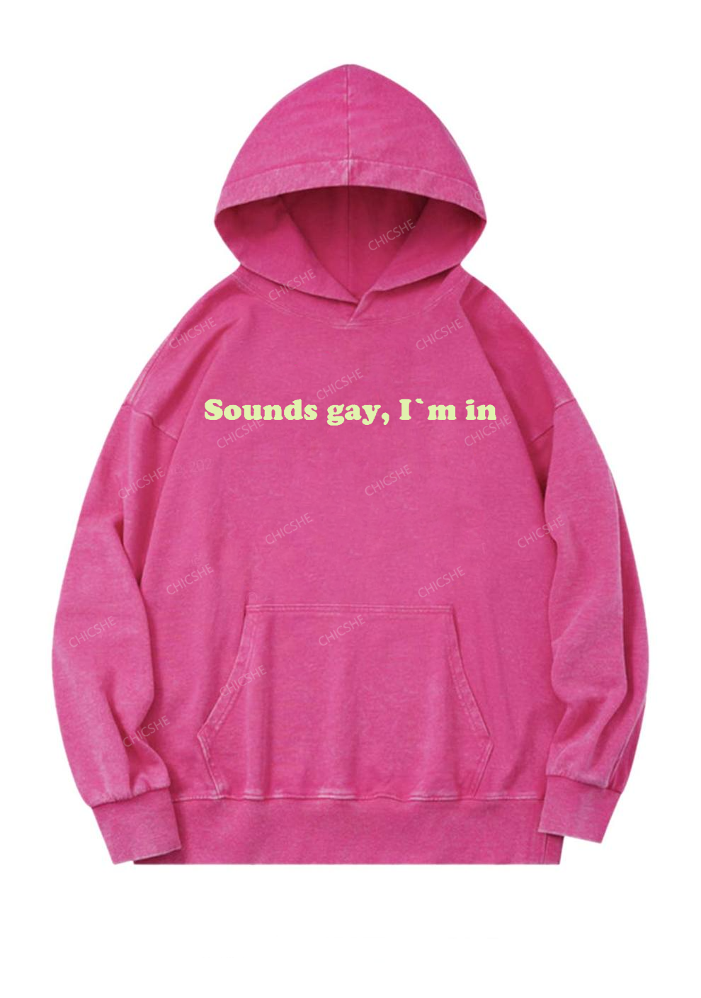 Sounds Gay Y2K Washed Hoodie Cherrykitten
