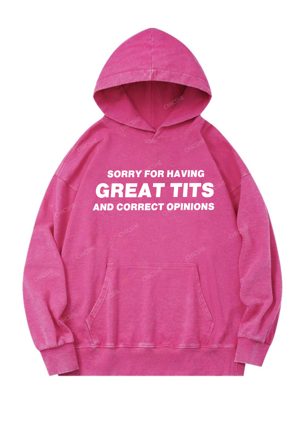 Sorry For Having Correct Opinions Y2K Washed Hoodie Cherrykitten
