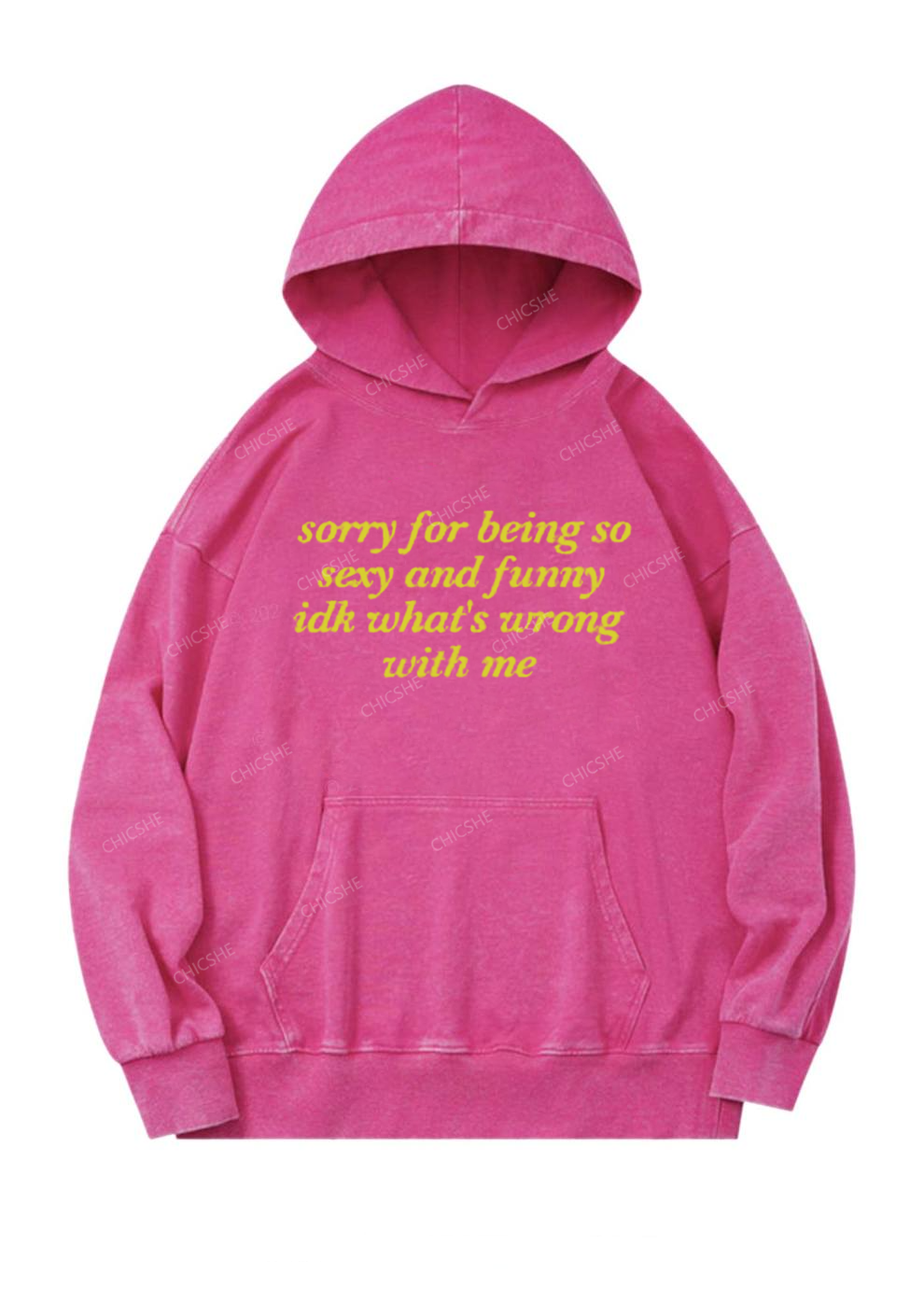 Sorry For Being So Funny Y2K Washed Hoodie Cherrykitten