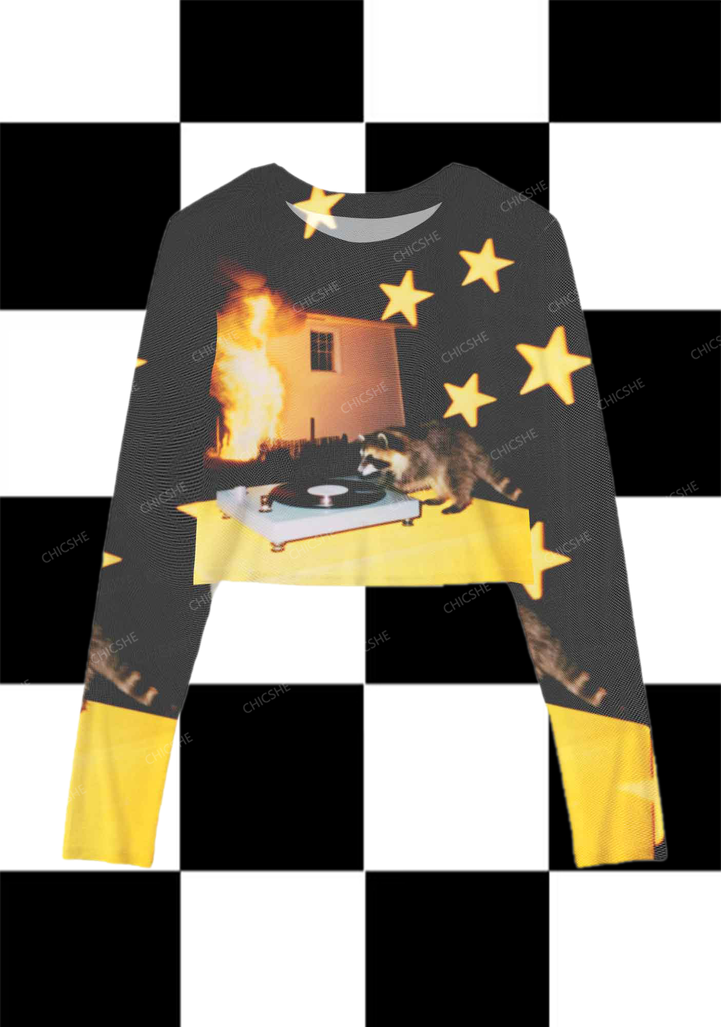 Chicshe Raccoon DJing At Night Y2K Mesh Long Sleeve Crop Top
