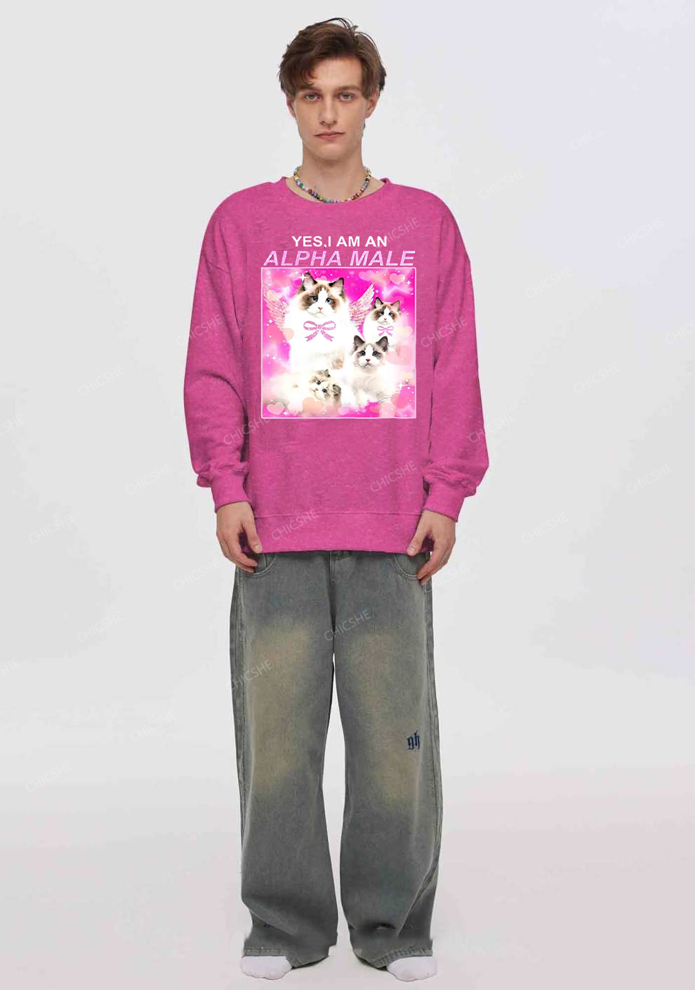 Alpha Male Y2K Washed Sweatshirts Chicshe