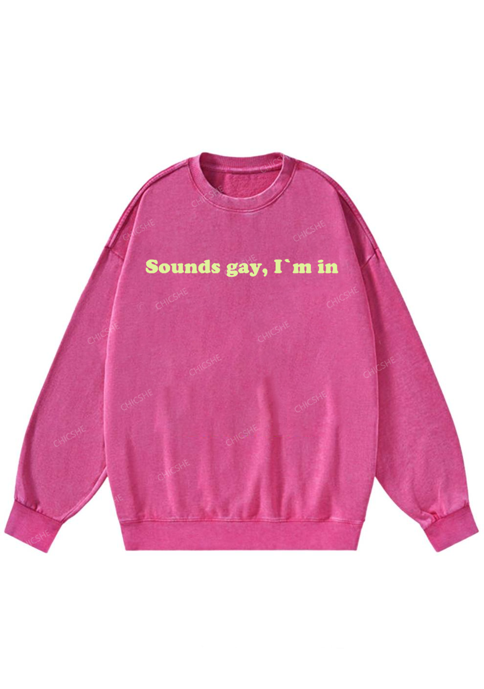 Sounds Gay Y2K Washed Sweatshirts Chicshe