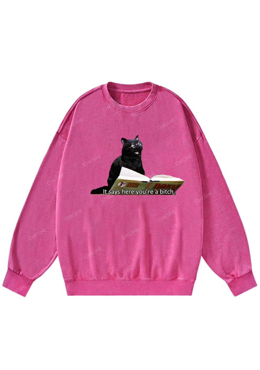 It Says Here You're A Bixxh Y2K Washed Sweatshirts Chicshe