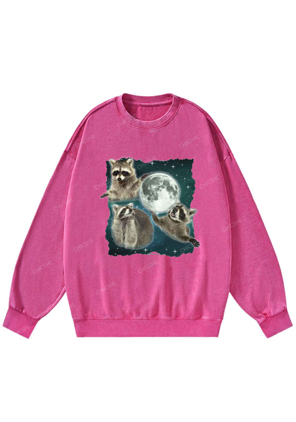 Raccoon Moon Y2K Washed Sweatshirts Chicshe