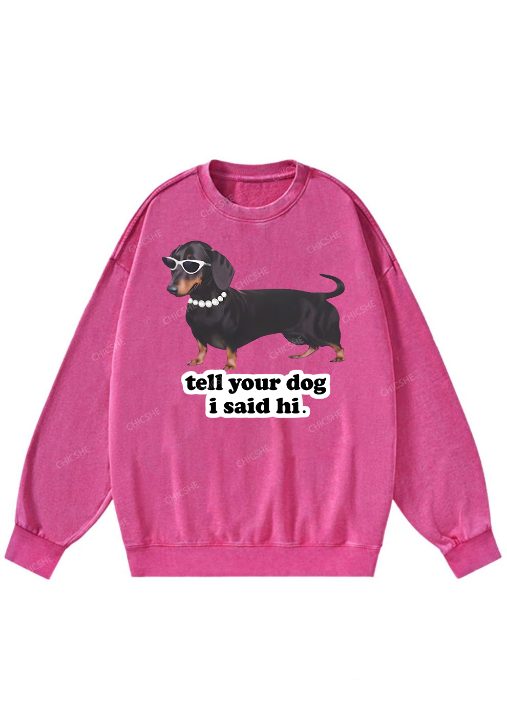 Chicshe Hello Puppy Washed Sweatshirts 