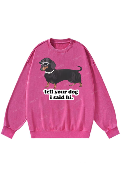 Chicshe Hello Puppy Washed Sweatshirts 