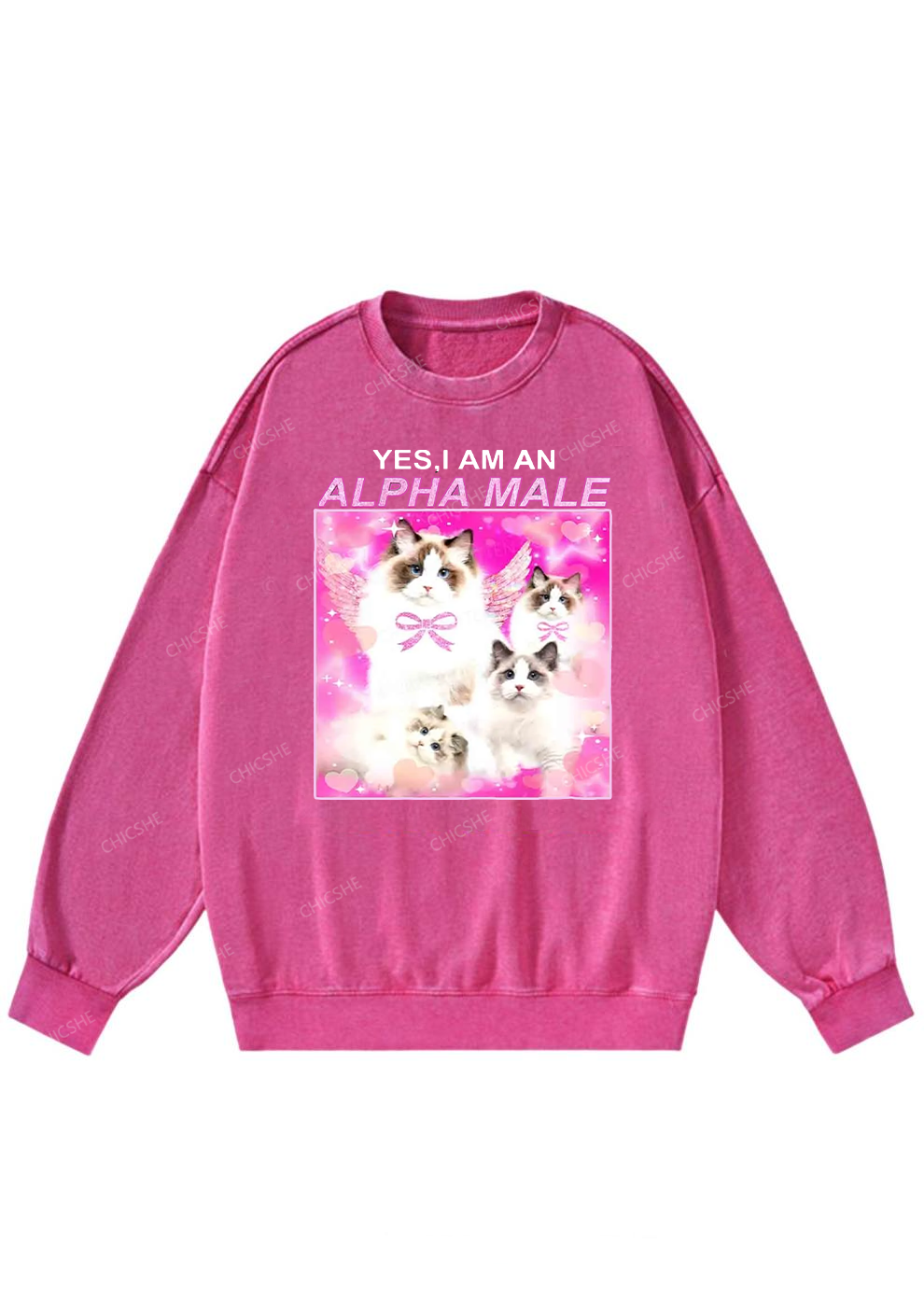 Alpha Male Y2K Washed Sweatshirts Chicshe