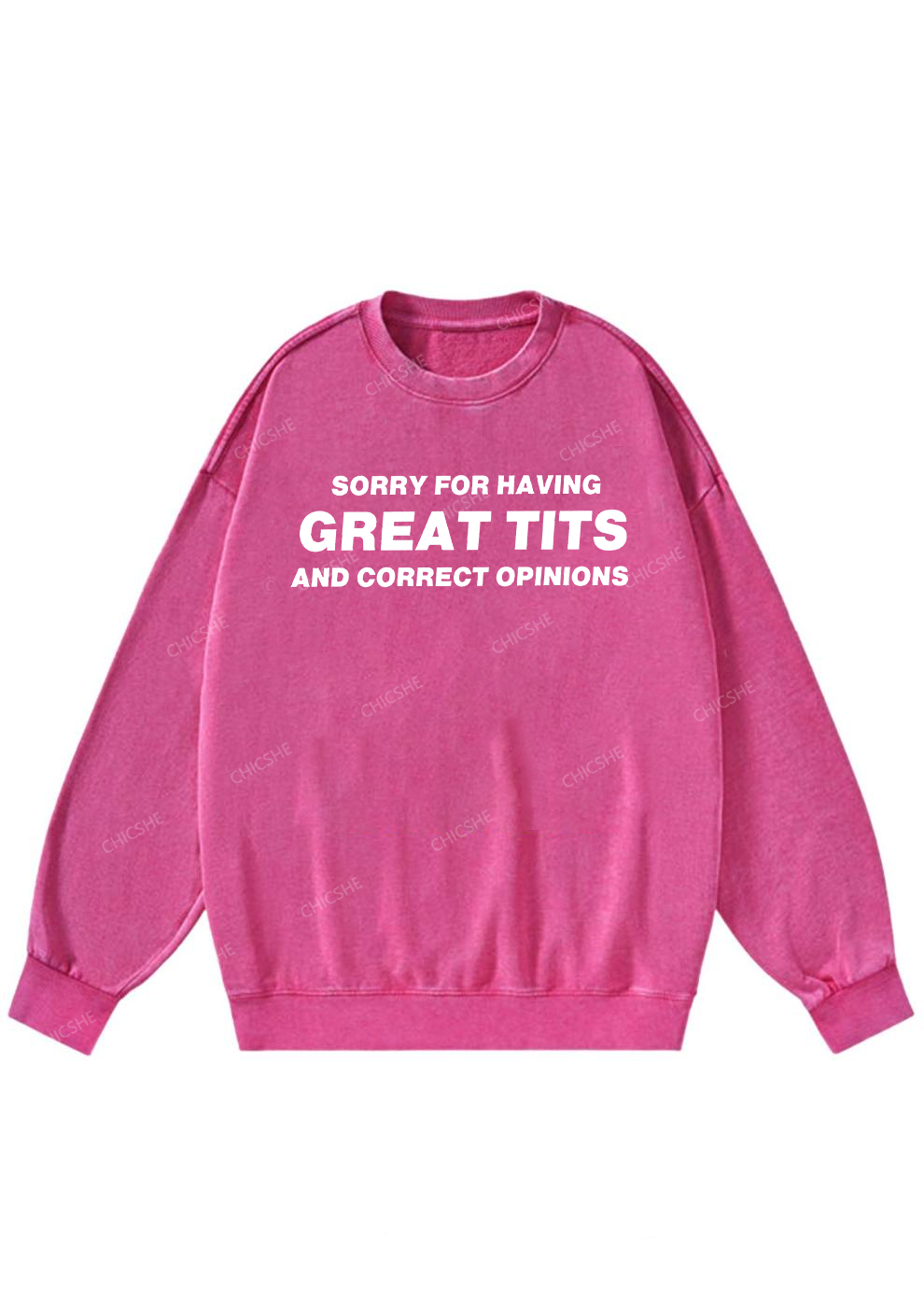 Sorry For Having Correct Opinions Y2K Washed Sweatshirts Chicshe