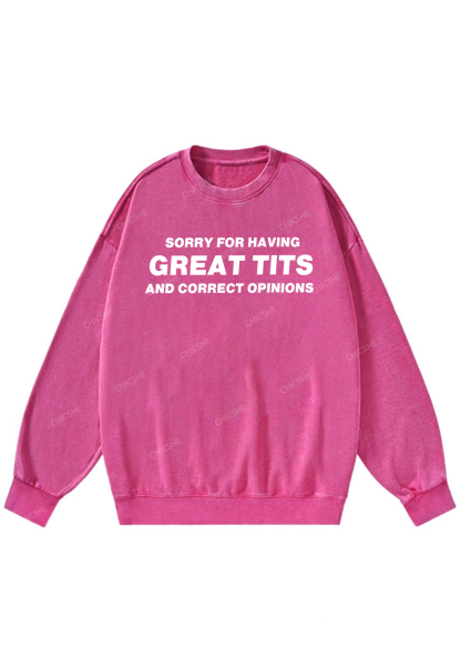 Sorry For Having Correct Opinions Y2K Washed Sweatshirts Chicshe