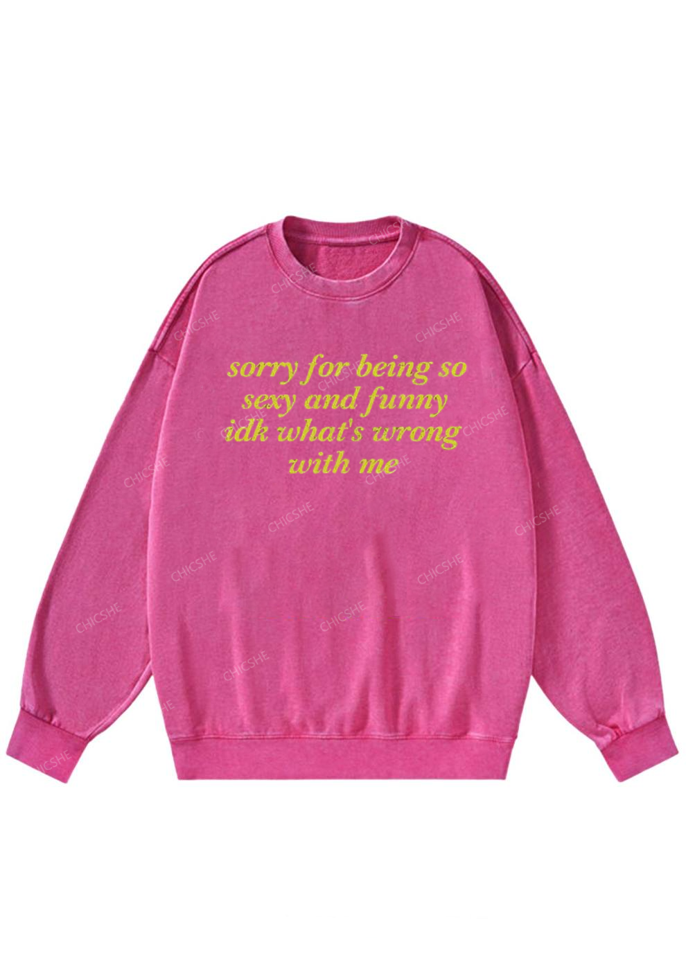 Sorry For Being So Funny Y2K Washed Sweatshirts Chicshe