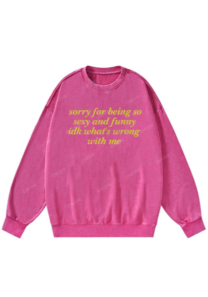 Sorry For Being So Funny Y2K Washed Sweatshirts Chicshe