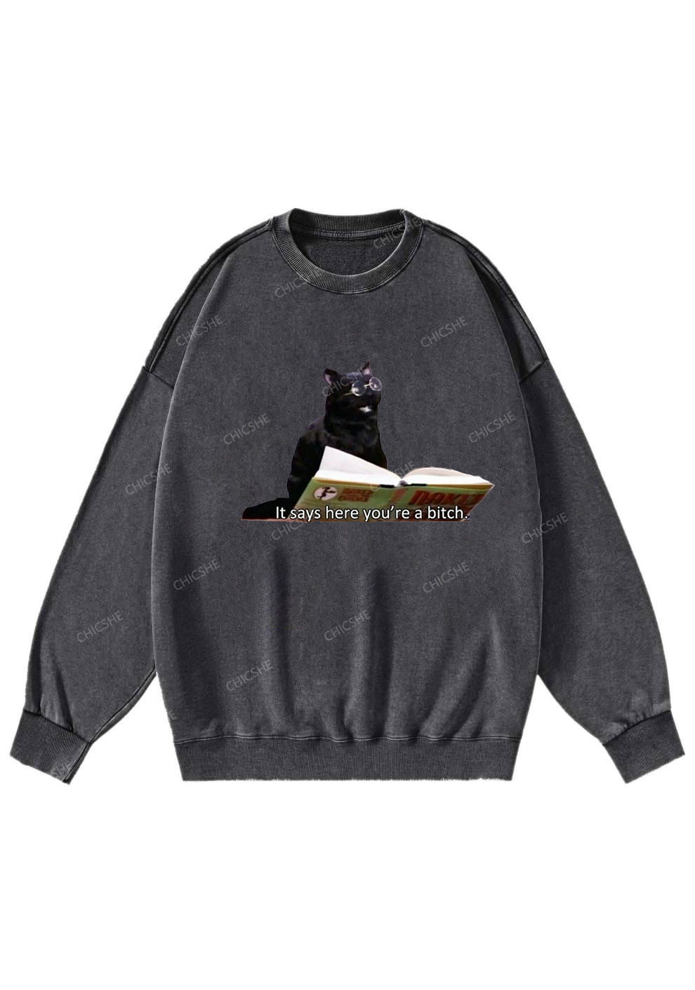 It Says Here You're A Bixxh Y2K Washed Sweatshirts Chicshe
