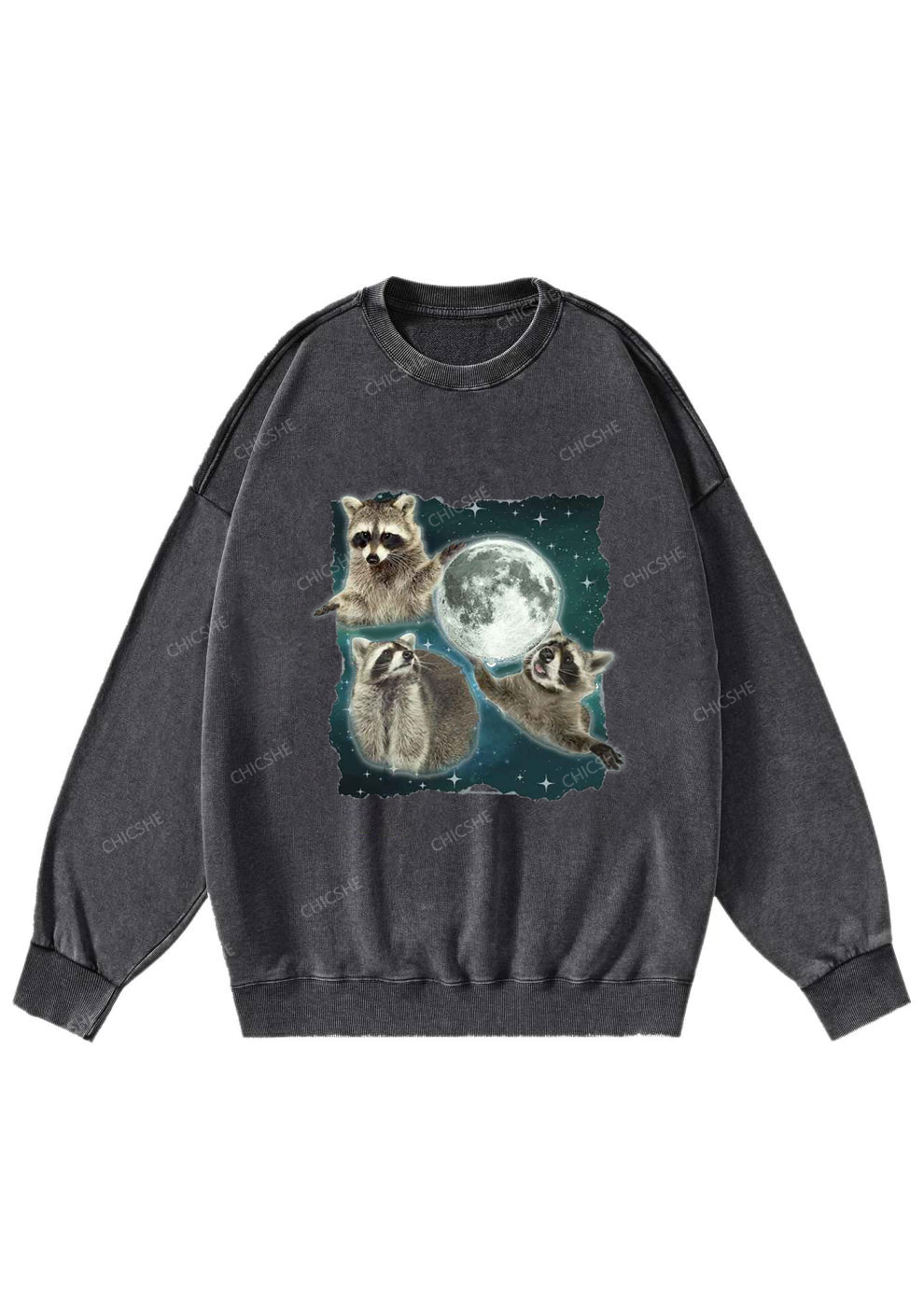 Raccoon Moon Y2K Washed Sweatshirts Chicshe