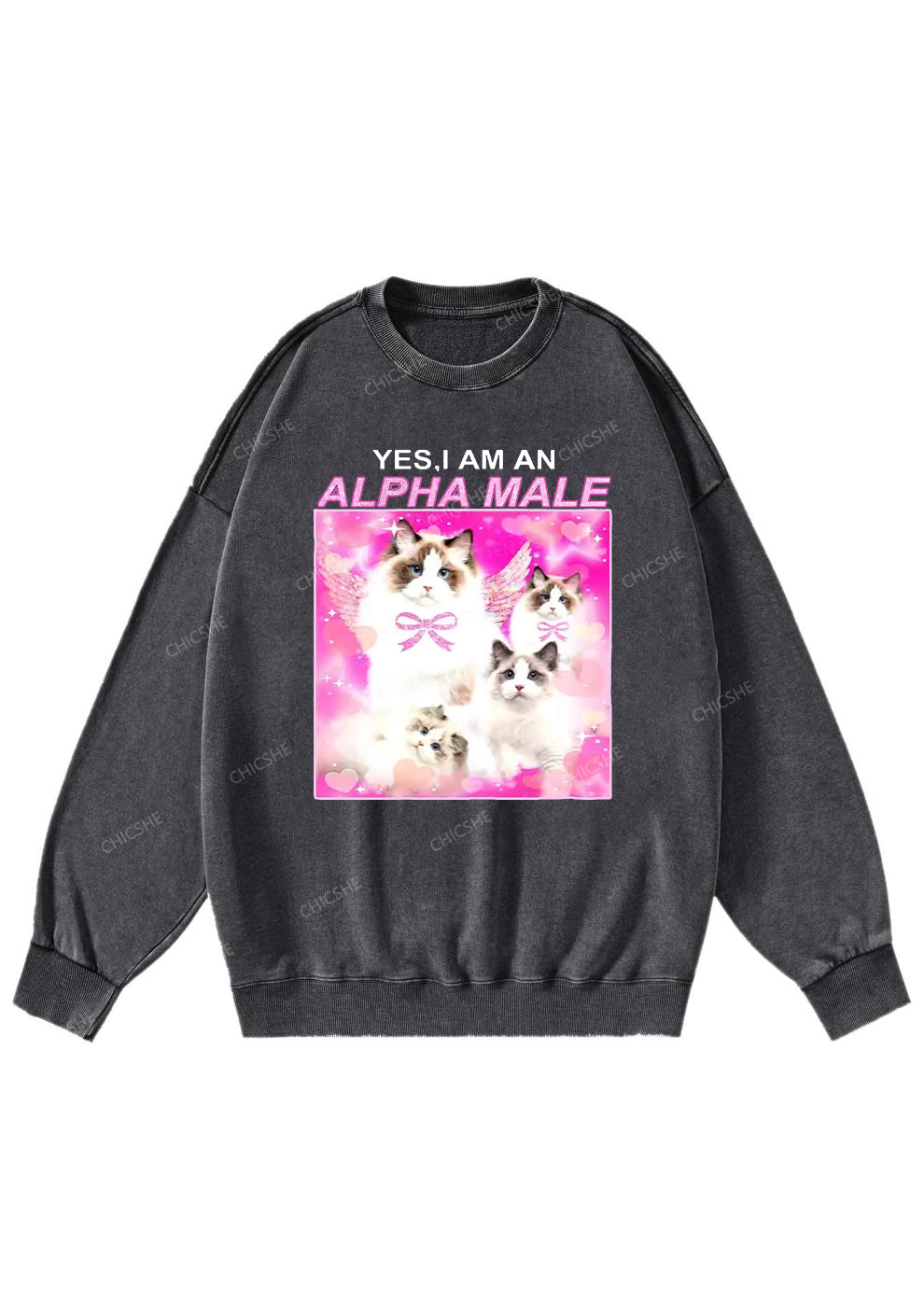 Alpha Male Y2K Washed Sweatshirts Chicshe