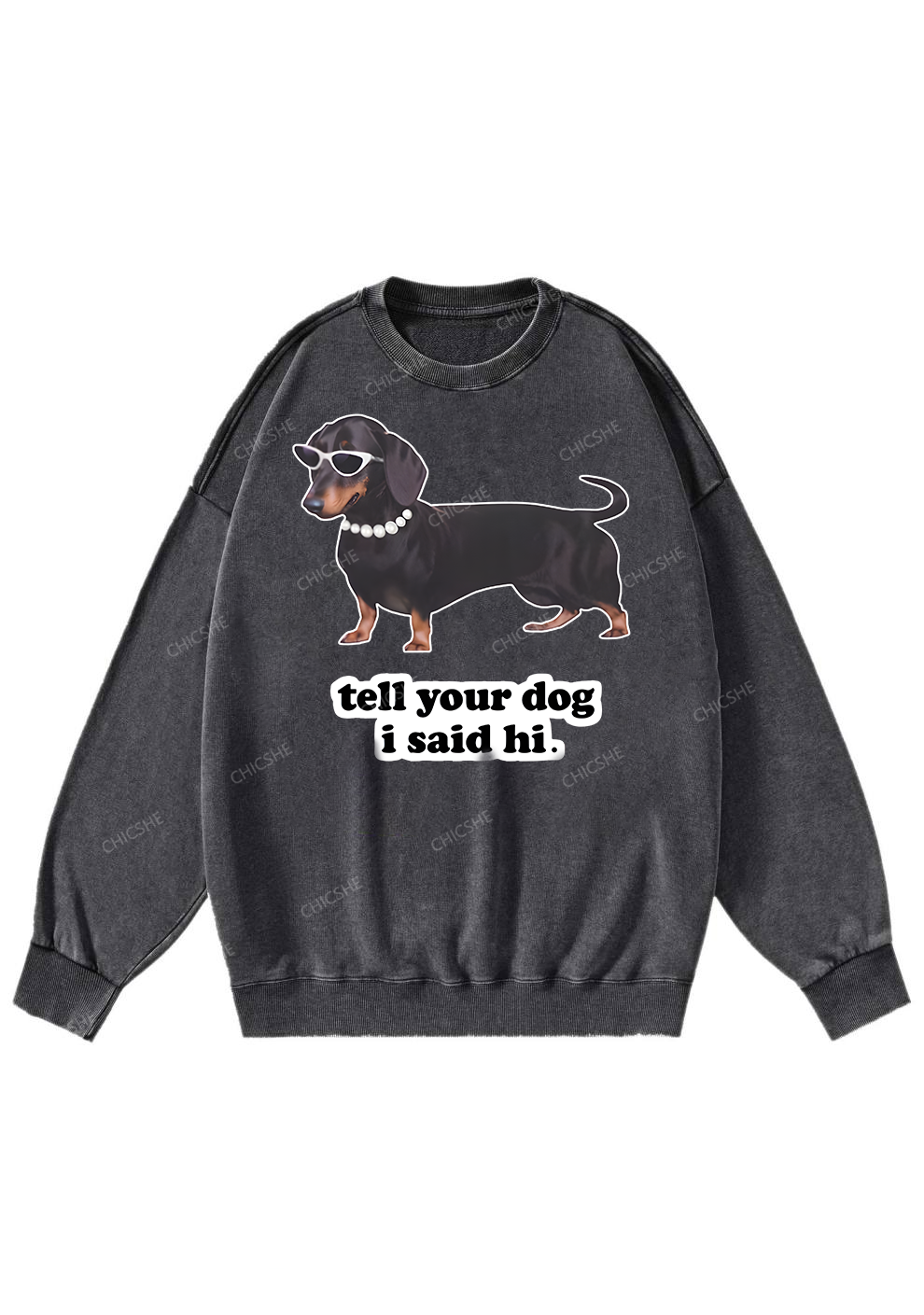 Chicshe Hello Puppy Washed Sweatshirts 