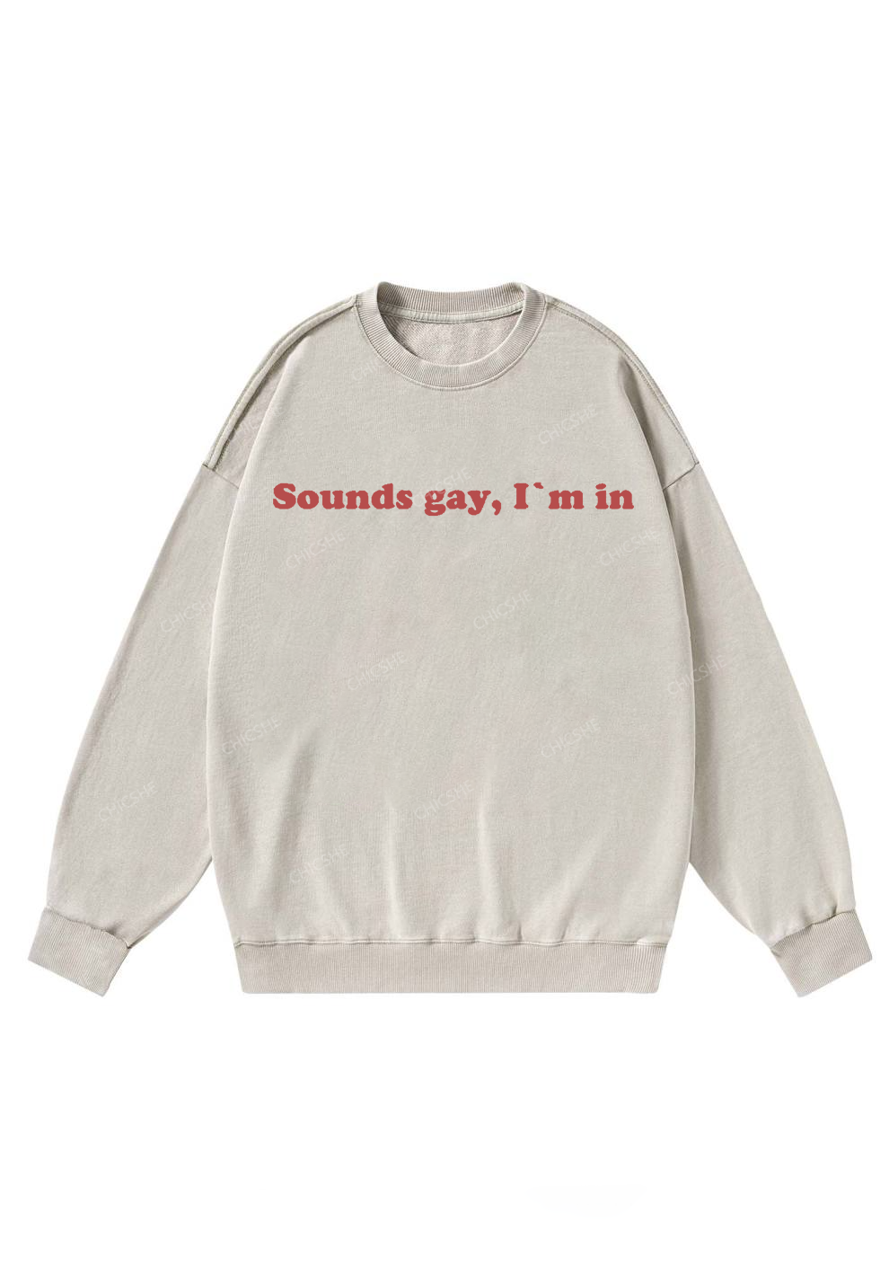 Sounds Gay Y2K Washed Sweatshirts Chicshe