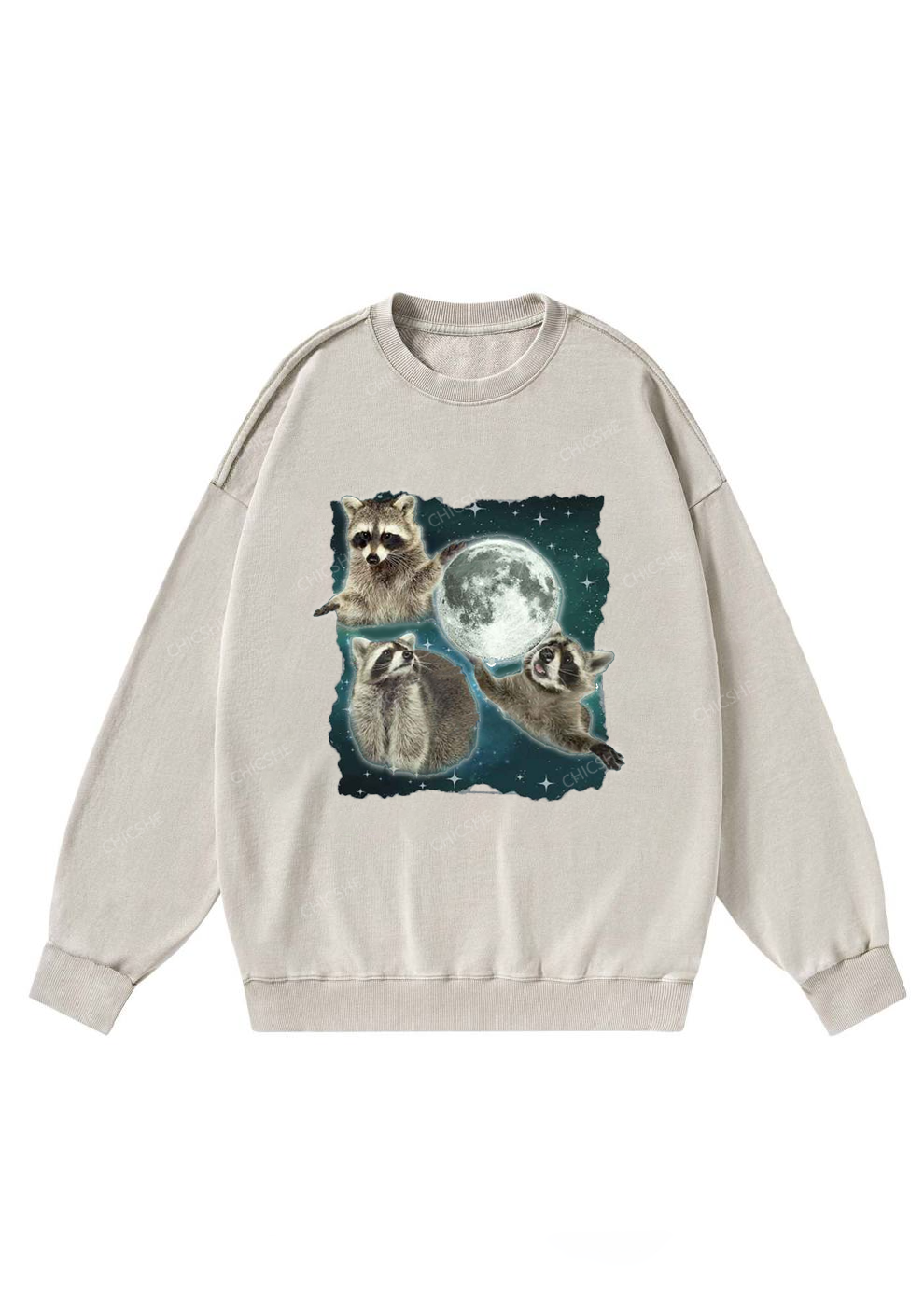 Raccoon Moon Y2K Washed Sweatshirts Chicshe