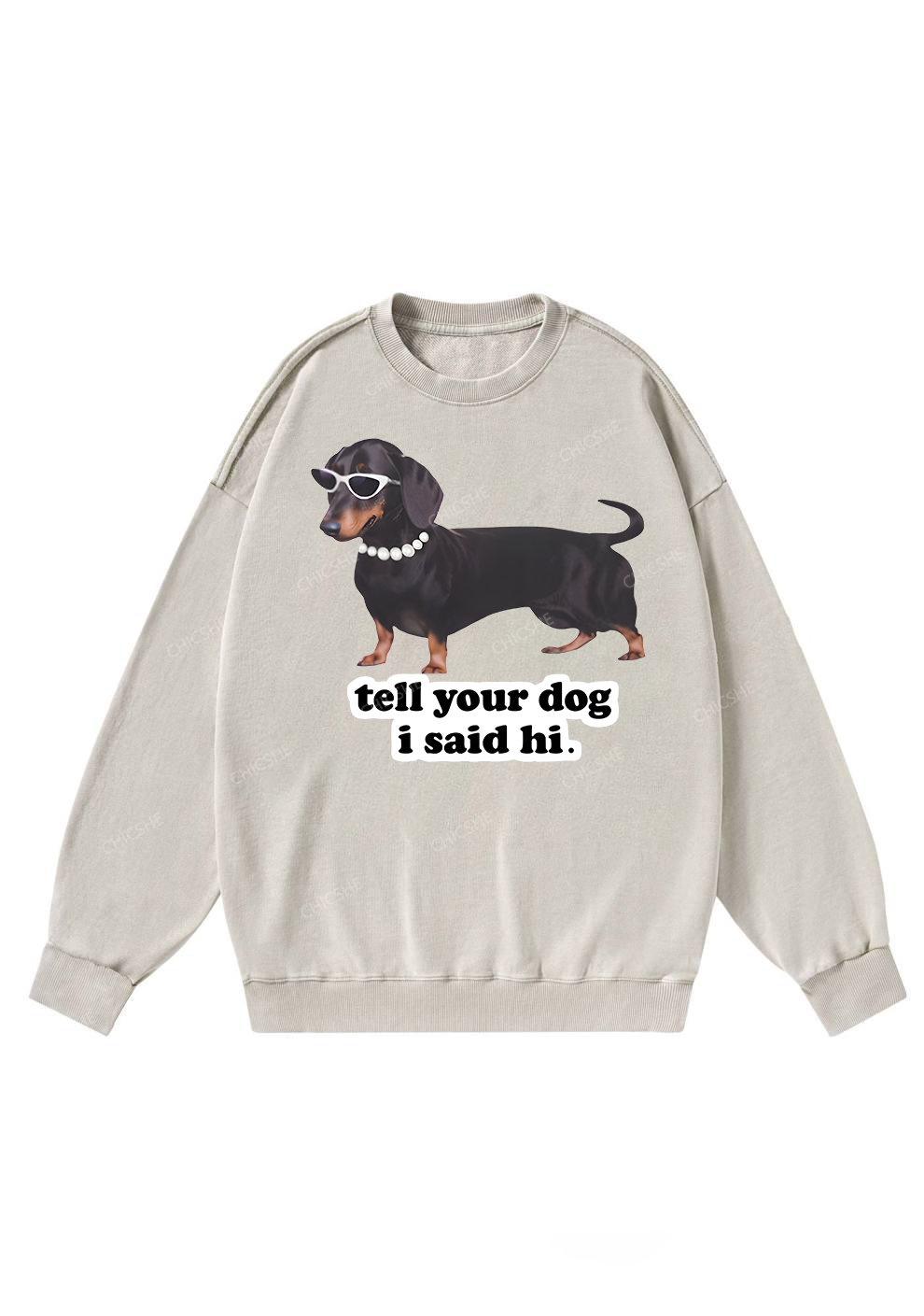 Chicshe Hello Puppy Washed Sweatshirts 