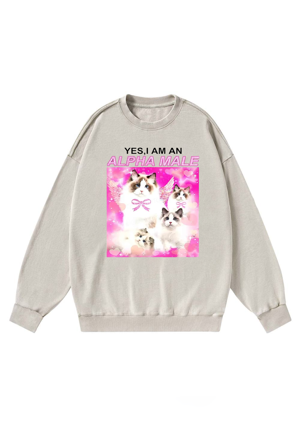 Alpha Male Y2K Washed Sweatshirts Chicshe