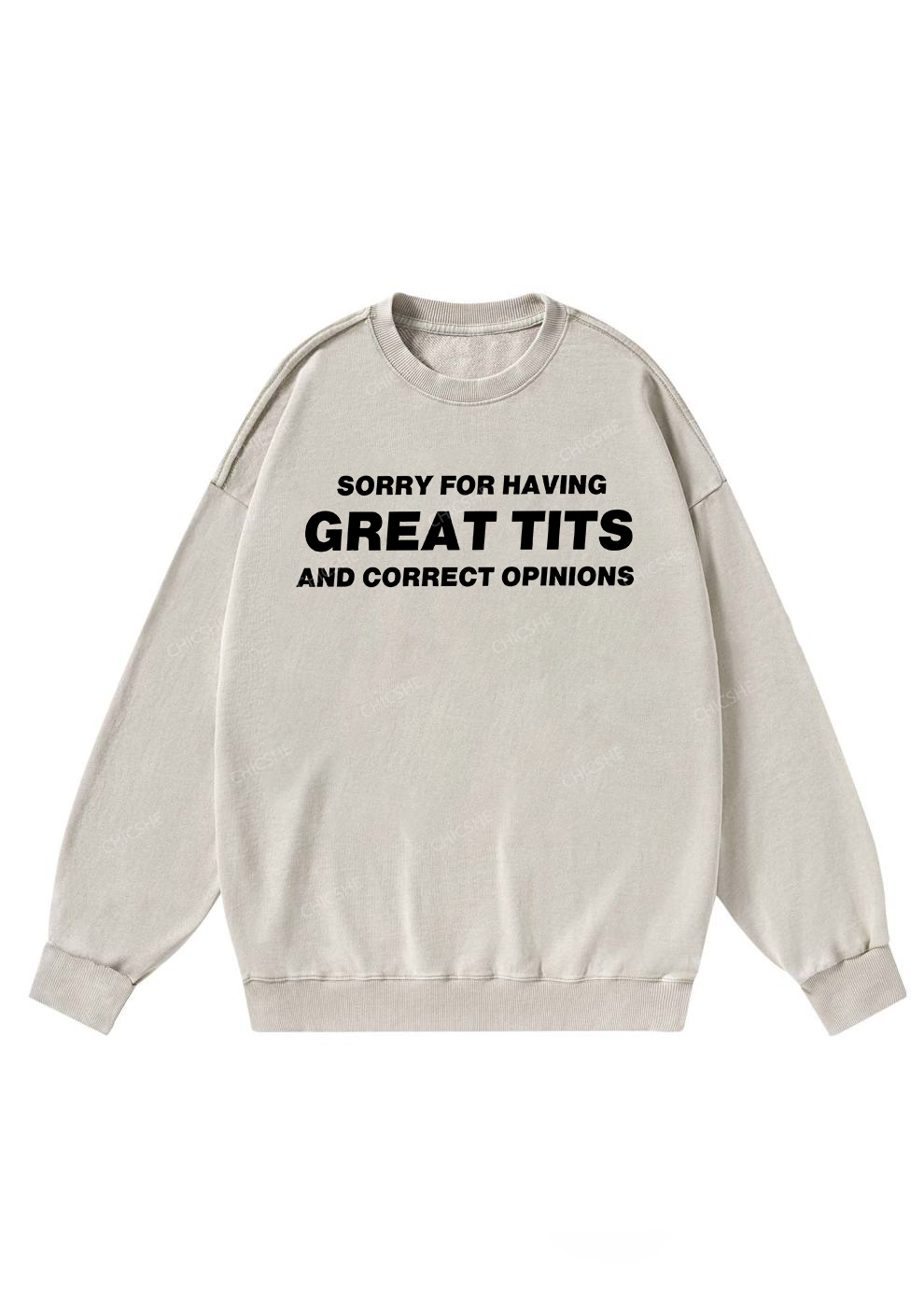 Sorry For Having Correct Opinions Y2K Washed Sweatshirts Chicshe
