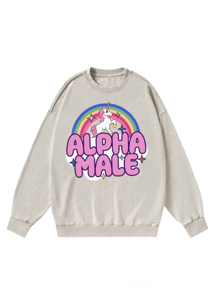 Rainbow Unicorn Alpha Male Y2K Washed Sweatshirts Chicshe