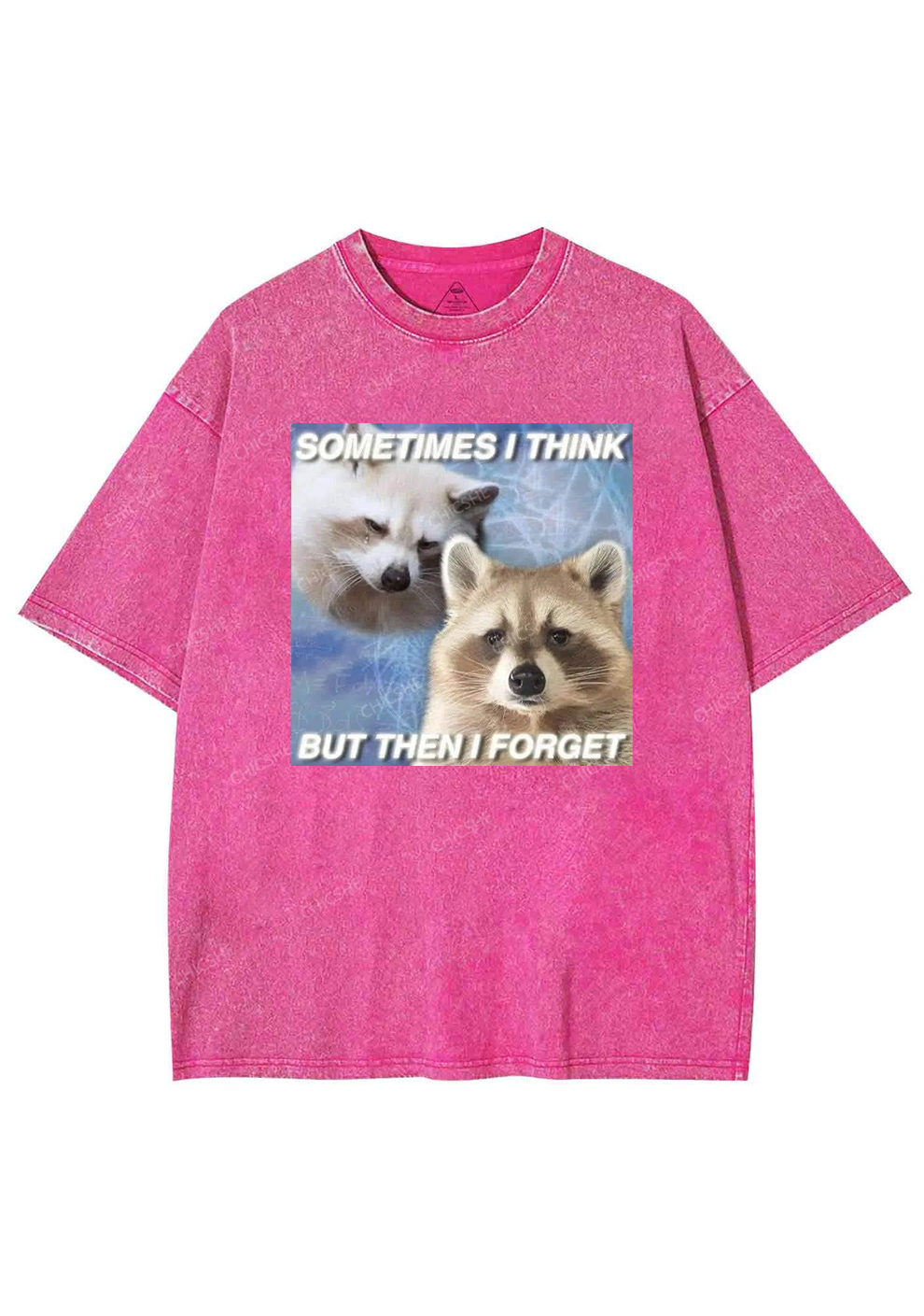 Raccoon Sometimes Think Y2K Washed Tee Chicshe