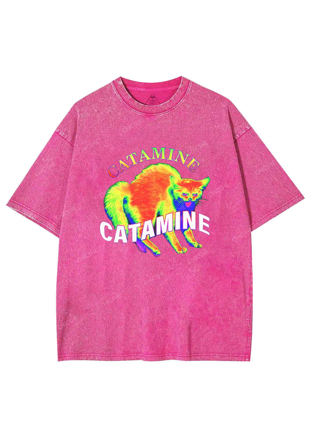Thermal Cat Y2K Washed Tee Chicshe