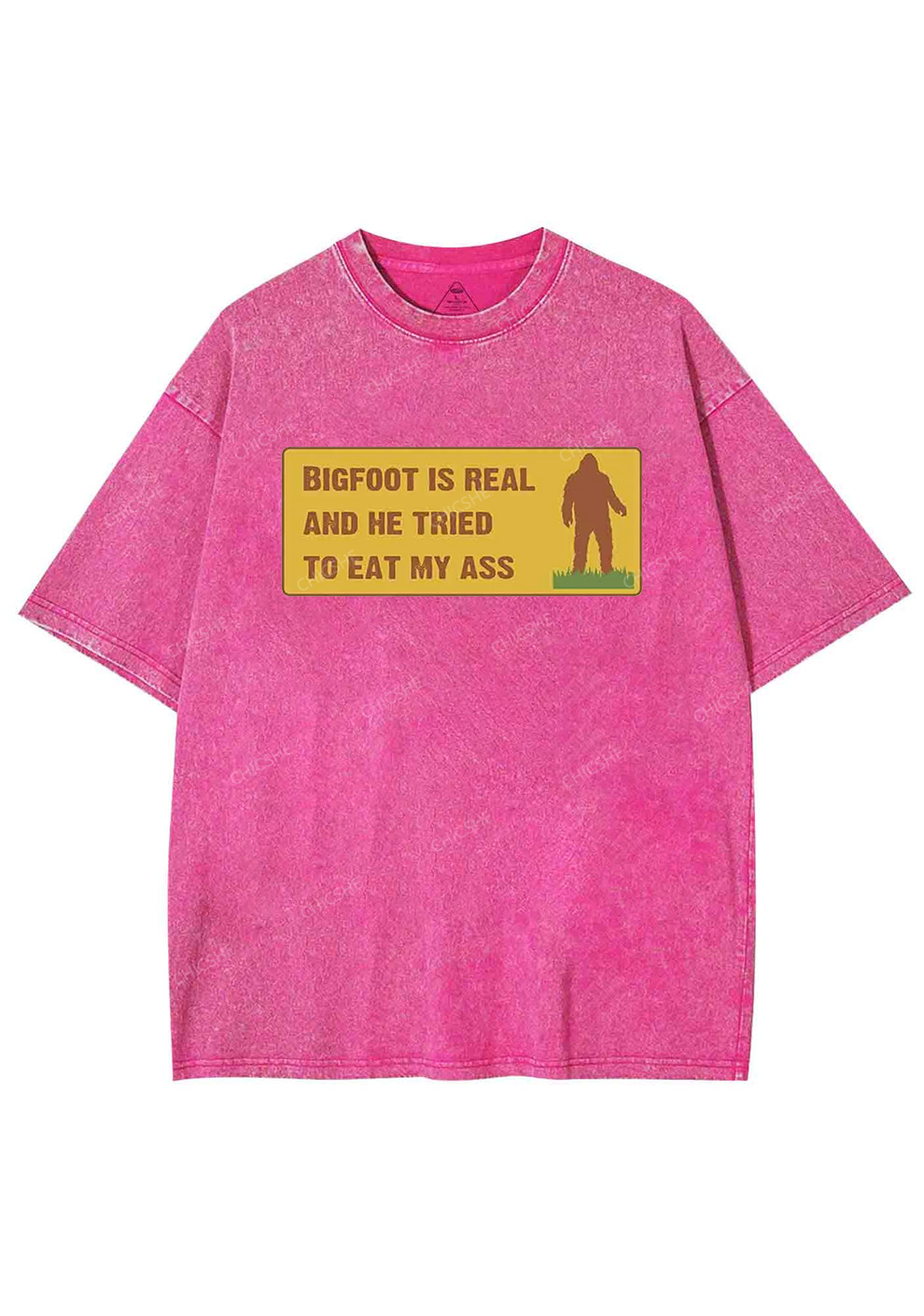 Bigfoot Is Real Y2K Washed Tee Chicshe