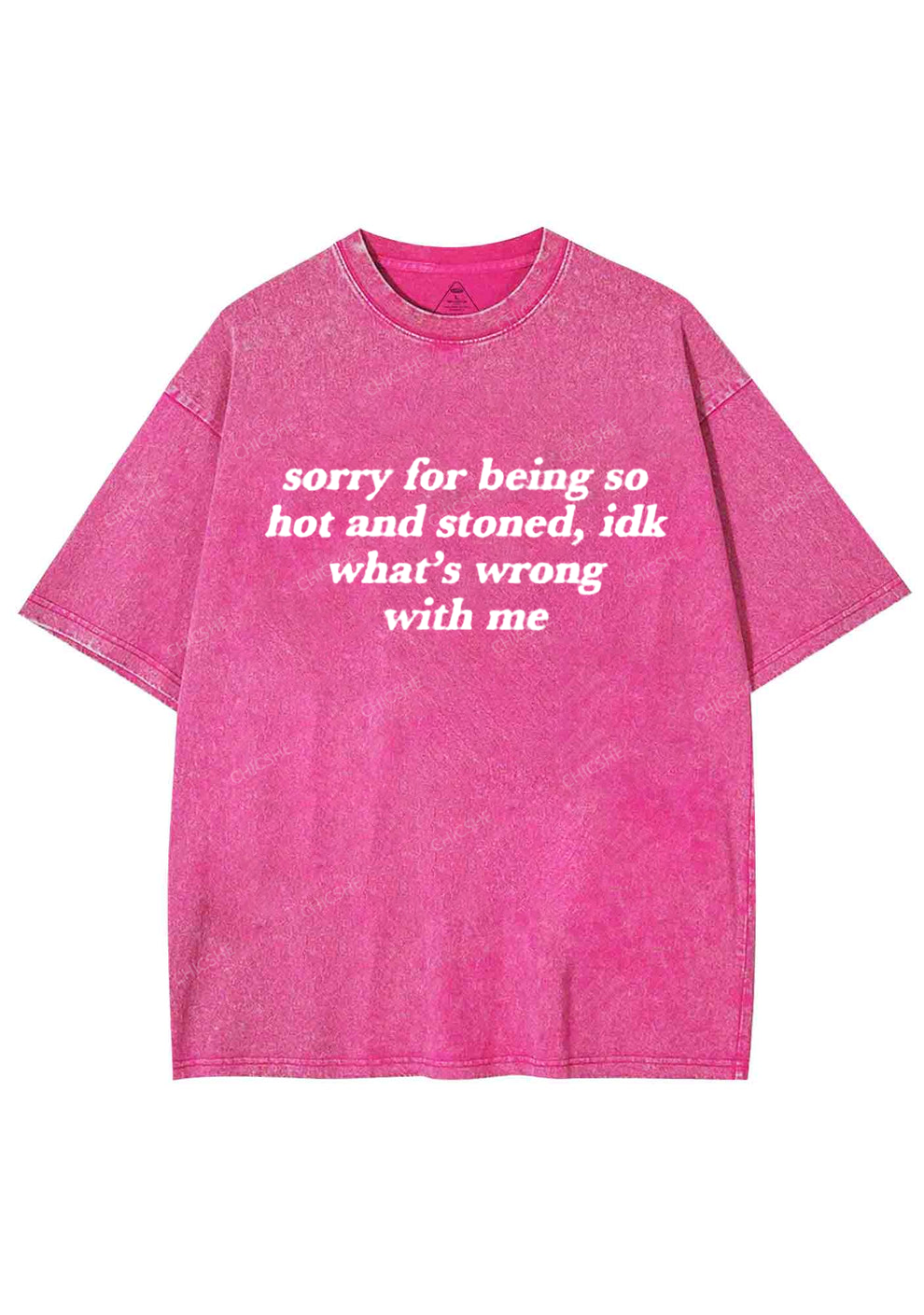 Sorry For Being Hot And Stoned Y2K Washed Tee Chicshe
