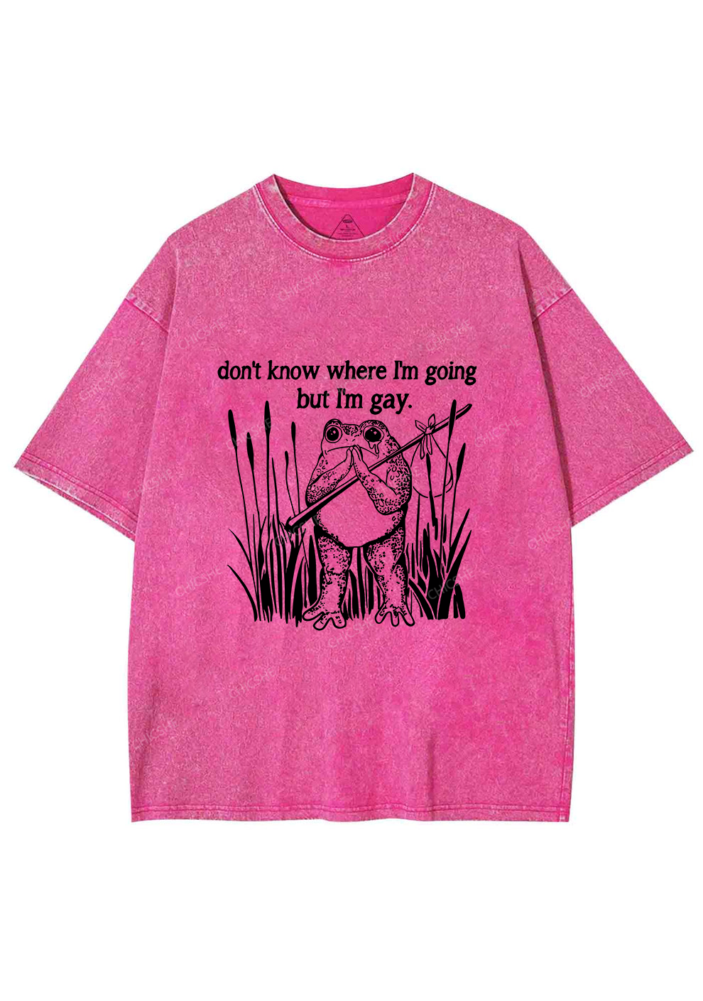 But I Am Gay Frog Pride Y2K Washed Tee Chicshe