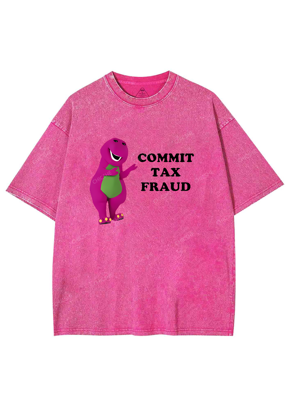 Commit Tax Fraud Y2K Washed Tee Chicshe