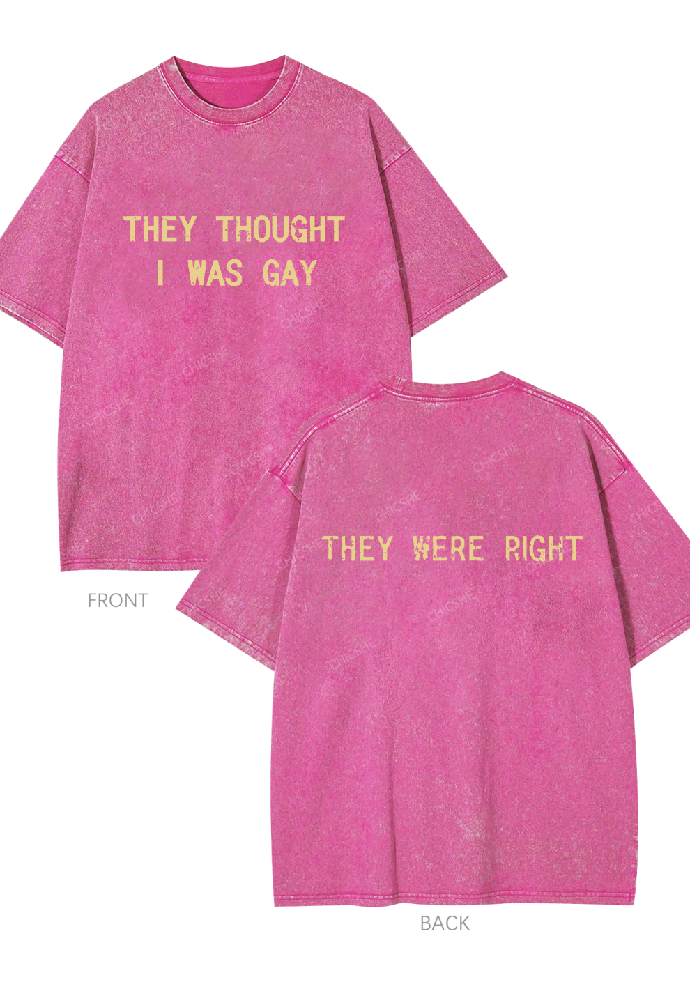 I Was Gay Two Sides Y2K Washed Tee Chicshe