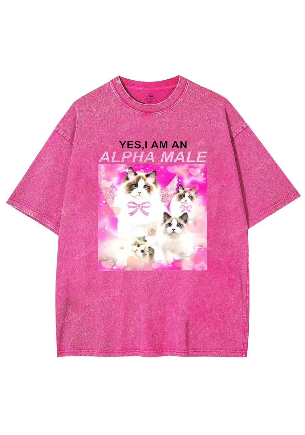 Alpha Male Y2K Washed Tee Chicshe