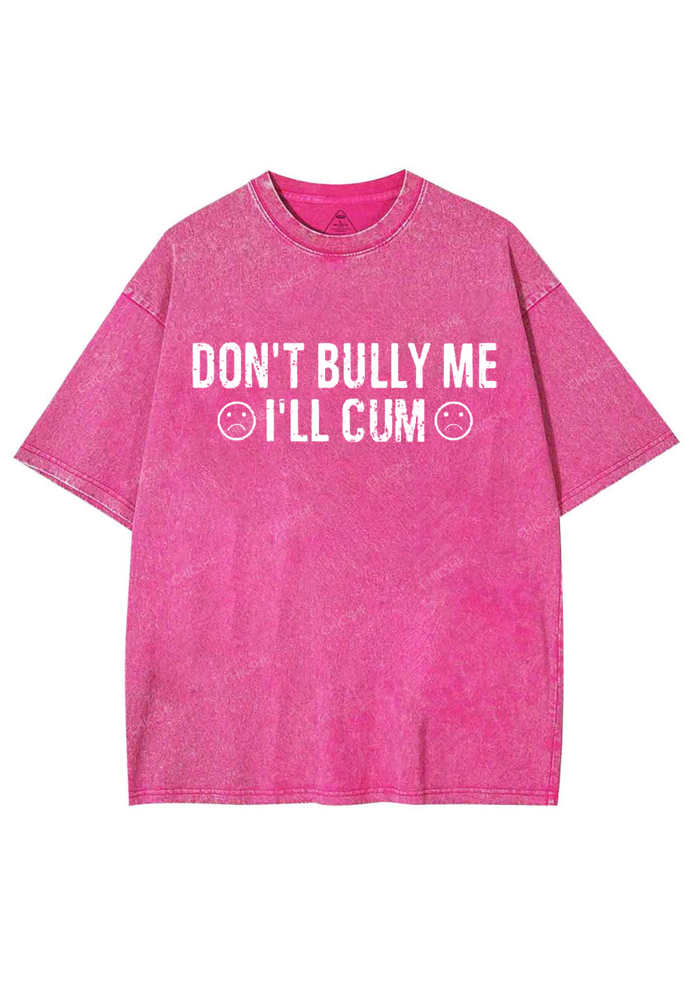 Don't Bully Me Y2K Washed Tee Chicshe