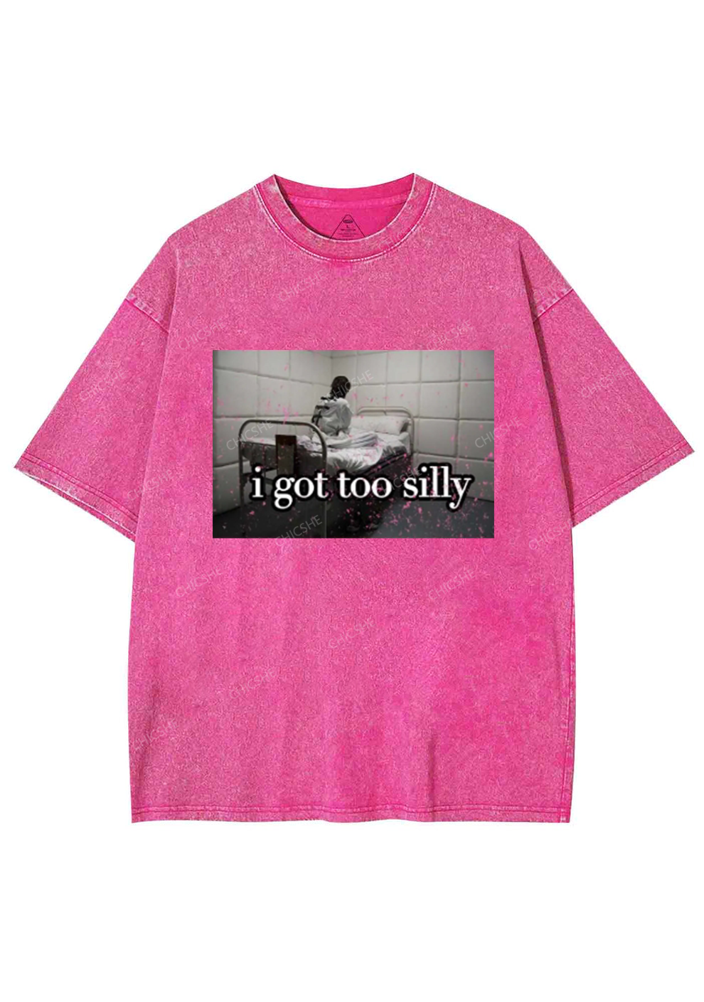 I Got Too Silly Y2K Washed Tee Chicshe