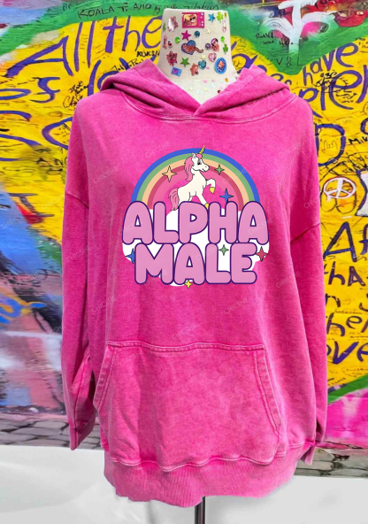 Rainbow Unicorn Alpha Male Y2K Washed Hoodie Chicshe